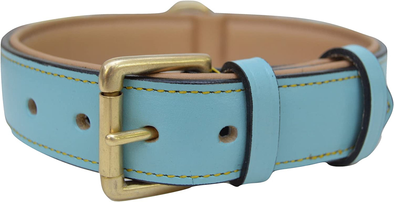 Black Leather Padded Dog Collar, Size Medium, 20" Long X 1" Wide, Neck Size 14.5" to 17.5" Inches