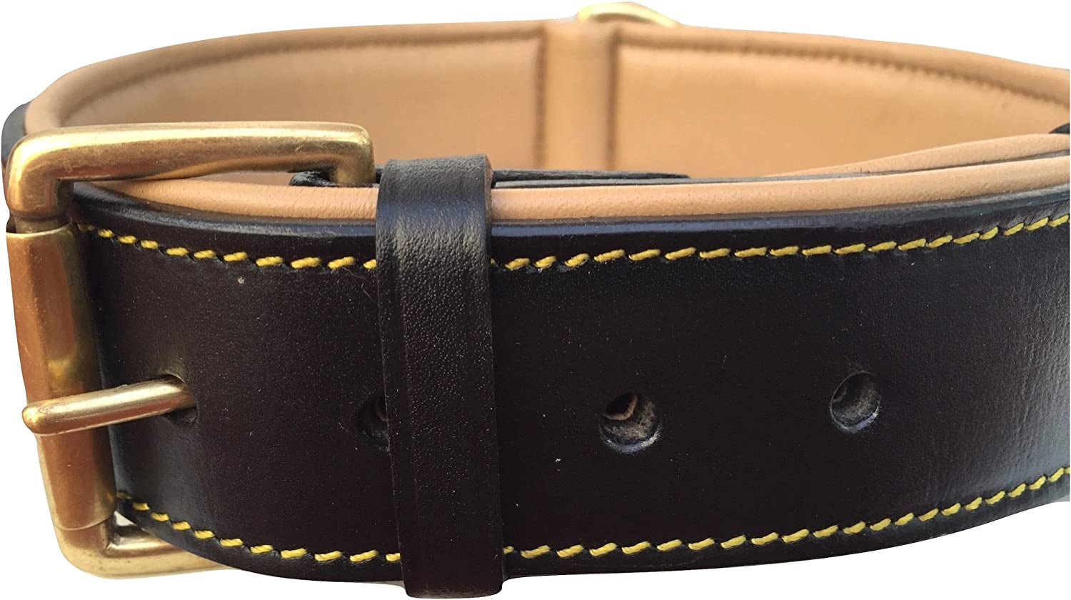 Black Leather Padded Dog Collar, Size Medium, 20" Long X 1" Wide, Neck Size 14.5" to 17.5" Inches