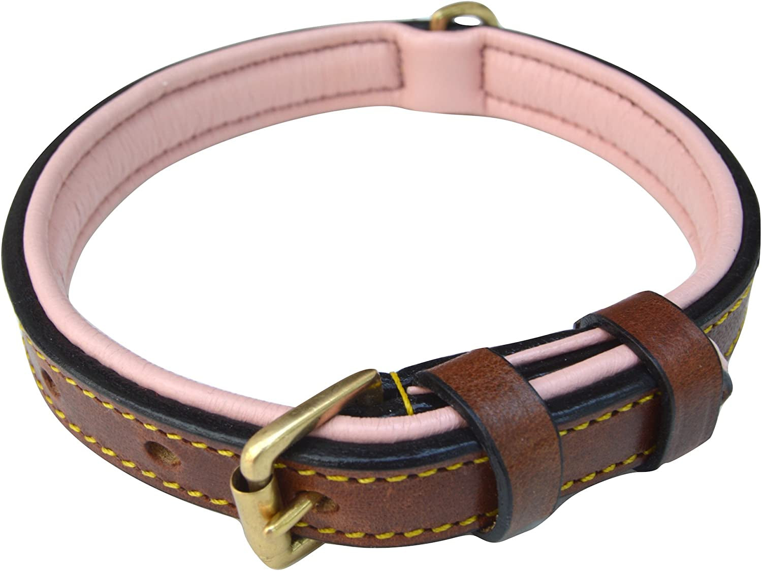 Black Leather Padded Dog Collar, Size Medium, 20" Long X 1" Wide, Neck Size 14.5" to 17.5" Inches
