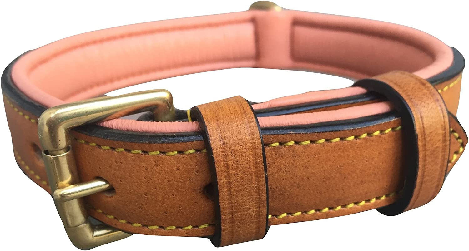 Black Leather Padded Dog Collar, Size Medium, 20" Long X 1" Wide, Neck Size 14.5" to 17.5" Inches