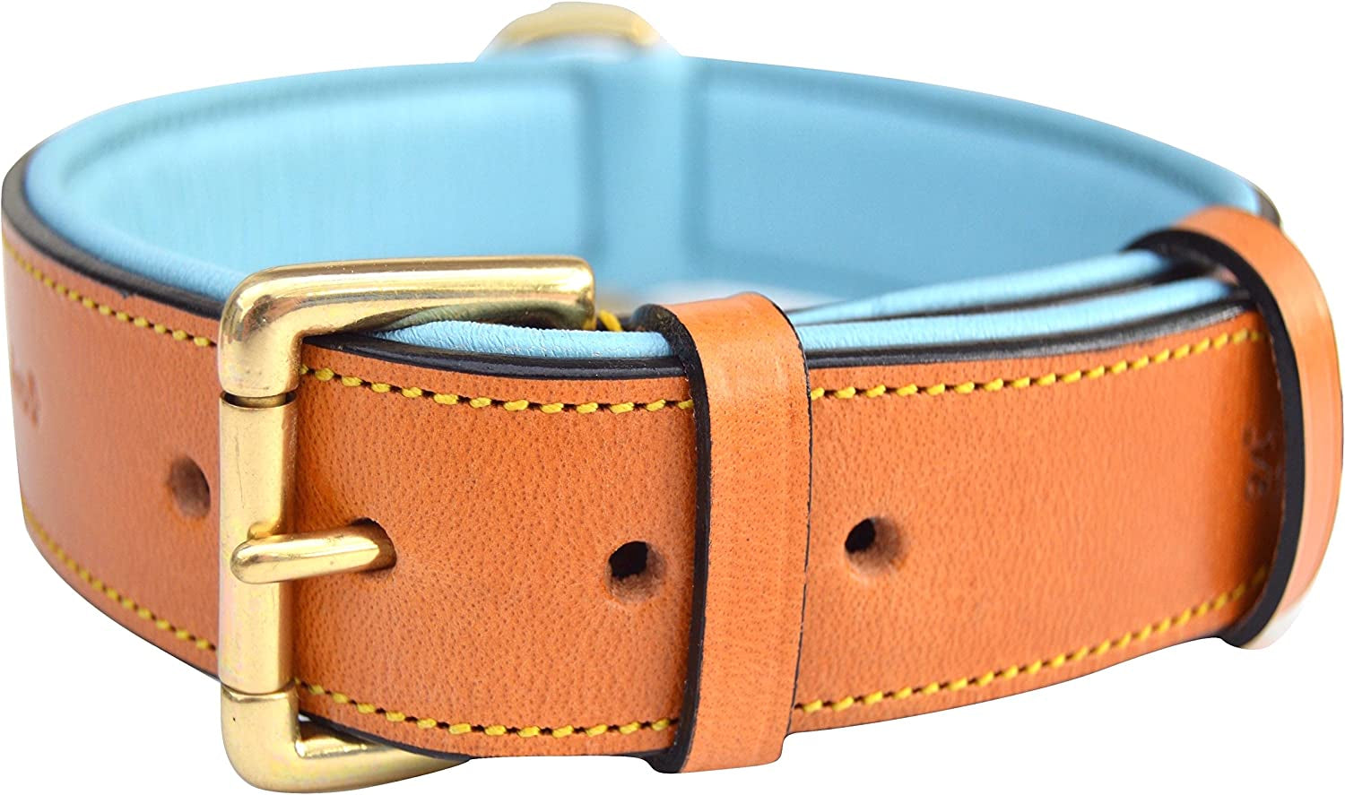 Black Leather Padded Dog Collar, Size Medium, 20" Long X 1" Wide, Neck Size 14.5" to 17.5" Inches