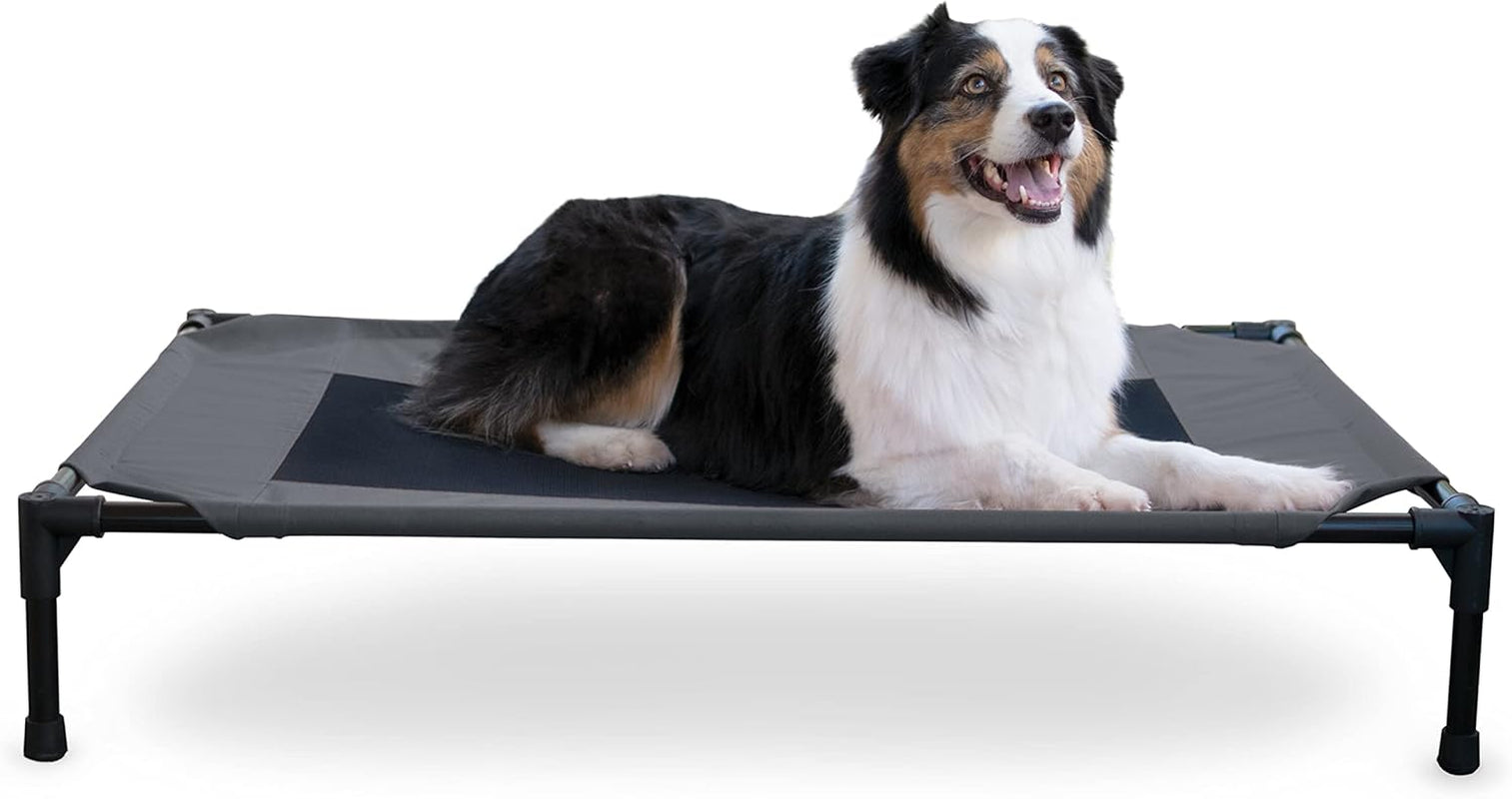 Outdoor Elevated Dog Cot, Breathable Cooling Elevated Cot Hammock Pet Bed for Large Dogs, Washable Mesh Cover, Raised Metal Frame, Collapsible, Portable - Large 42 X 30In Chocolate
